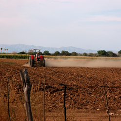 Farm on your land